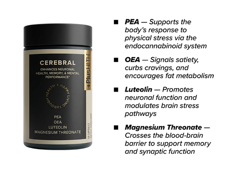 Cerebral brain health support supplement 60 count capsules + benefits