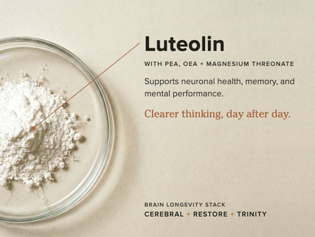 Luteolin supports neural health, memory and mental performance
